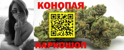 бошки Севастополь