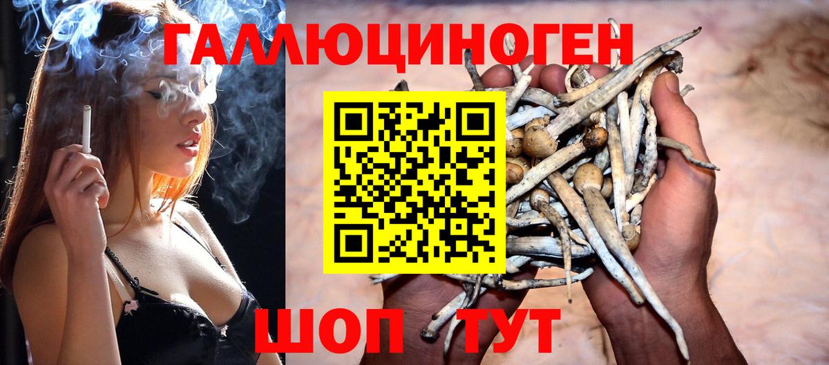 Тольятти  Галлюциногенные грибы мицелий  где найти наркотики  Вход с VPN 